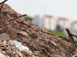 Los equipos realizaron docenas de rescates, y los socorristas continuaron buscando a aquellos que no habían sido localizados. ARCHIVO/EL INFORMADOR.