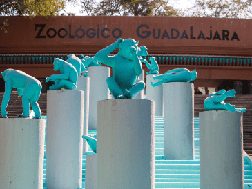 El Zoológico Guadalajara anunció un horario diferente a lo habitual, esto por las vacaciones de verano para que planees tu visita y goces al máximo de todas las atracciones. EL INFORMADOR/ ARCHIVO