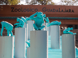 El Zoológico Guadalajara anunció un horario diferente a lo habitual, esto por las vacaciones de verano para que planees tu visita y goces al máximo de todas las atracciones. EL INFORMADOR/ ARCHIVO
