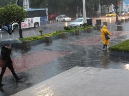 El especialista señaló que para las regiones Altos, Valles, Centro y Norte se esperan precipitaciones fuera del promedio, pero si ocurre algún evento como un ciclón tropical en las costas de Jalisco, este pronóstico podría cambiar. CORTESÍA