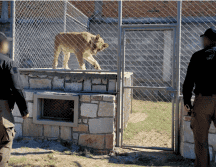 En estas acciones participaron la FGR, la Policía Federal Ministerial (PFM), Fiscalía Especializada de Control Regional (FECOR), Agencia de Investigación Criminal (AIC); en coordinación con el Gabinete de Seguridad. ESPECIAL / Fiscalía General de la República