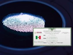 Esta nueva versión del documento se convierte en un instrumento obligatorio al ser incluida en la Ley General de Población. UNSPLASH.