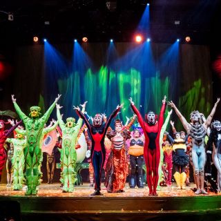 Cirque du Soleil: OVO viene cargado de color y energía