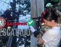 Bomberos de Zapopan rescatan a gato que no podía bajar de lo más alto de un árbol. ESPECIAL / FACEBOOK Protección Civil y Bomberos de Zapopan