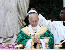 León XIV, el primer Papa estadounidense de la historia, ha indicado que tiene la intención de continuar el legado ecológico de Francisco. AP / Y. Nardi