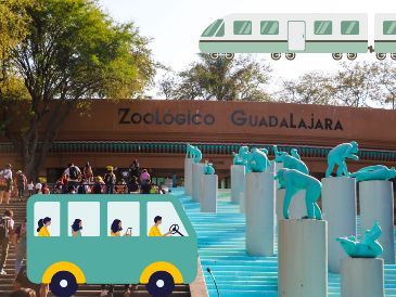 Te compartimos las cuatro opciones que puedes considerar para llegar al Zoológico de Guadalajara en transporte público desde cualquier punto del Área Metropolitana de Guadalajara. EL INFORMADOR / ARCHIVO