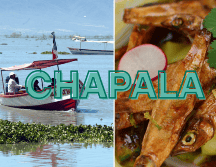 Los charales, son pequeños peces que habitan el Lago de Chapala en Jalisco. EL INFORMADOR/ ARCHIVO