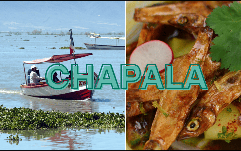Los charales, son pequeños peces que habitan el Lago de Chapala en Jalisco. EL INFORMADOR/ ARCHIVO