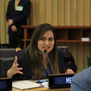 Senadora propone cancelar visa a extranjeros que discriminen a mexicanos