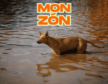 El monzón mexicano originará lluvias muy fuertes en regiones del país. EL INFORMADOR / ARCHIVO