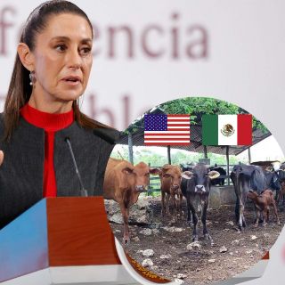 "Exagerada" la decisión de EU de cerrar nuevamente la frontera al ganado: Sheinbaum
