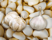 Los compuestos del ajo pueden jugar un papel relevante en la inhibición del desarrollo de células cancerígenas. ESPECIAL / CANVA