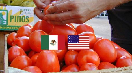 Jitomate, entre los productos estrella de las exportaciones mexicanas. SUN / ARCHIVO