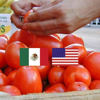 Productores mexicanos de jitomate piden aplazar por 60 días cuota de Estados Unidos