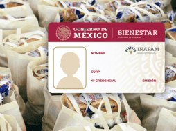 La despensa del INAPAM está conformada de 14 artículos y se entregará por única ocasión. EL INFORMADOR/ARCHIVO ESPECIAL