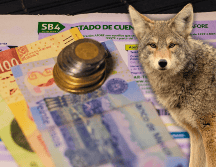 Gestores conocidos como “coyotes” aprovechan el desconocimiento de los trabajadores para lucrar con sus ahorros para el retiro. EL INFORMADOR / ARCHIVO