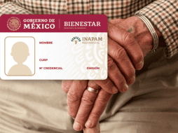 Los módulos de atención del INAPAM se pueden encontrar en diferentes puntos del país. ESPECIAL