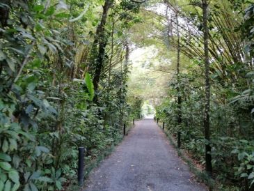 Ingreso a Maquenque Eco Lodge. ESPECIAL/X. MARTÍNEZ.