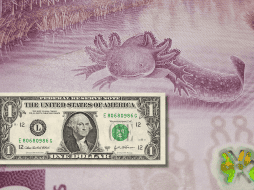 El peso mexicano, en los mercados internacionales, concluyó alrededor de 18.65 pesos por dólar. EL INFORMADOR / ARCHIVO