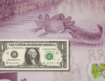 El peso mexicano, en los mercados internacionales, concluyó alrededor de 18.65 pesos por dólar. EL INFORMADOR / ARCHIVO