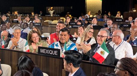 La Unesco ha anunciado un nuevo Patrimonio Mundial ubicado en México. EFE / Isabel Rodríguez Ramiro