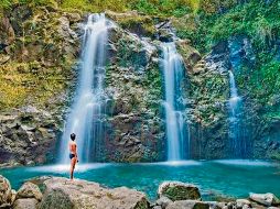 Japón, Tailandia y Maui: los paraísos más deseados