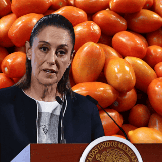 EU no tiene cómo cubrir la demanda de jitomate: Sheinbaum