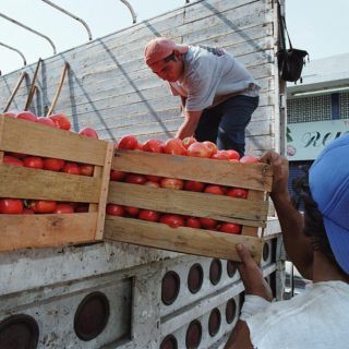 Productores de Jalisco lamentan la imposición del arancel a las exportaciones de jitomate