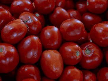 El Gobierno de México también indicó que intensificará los esfuerzos para conquistar nuevos mercados internacionales con base en la calidad del tomate mexicano. Unsplash