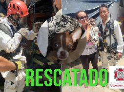 Elementos de Bomberos de Guadalajara lograron el rescate de un perro que había caído a un pozo. ESPECIAL / FACEBOOK Protección Civil y Bomberos de Guadalajara