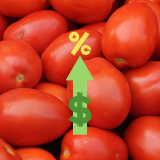 Aranceles al jitomate le saldrán más caro a algunas empresas por ESTE motivo