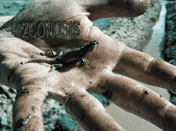 En caso de presentar una lesión fuerte por una mordedura o intoxicación, es importante acudir a la Unidad de Medicina Familiar. AFP / ARCHIVO