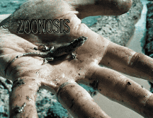 En caso de presentar una lesión fuerte por una mordedura o intoxicación, es importante acudir a la Unidad de Medicina Familiar. AFP / ARCHIVO