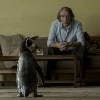 La recomendación de hoy en la cartelera de cine es “Lecciones de un pingüino”