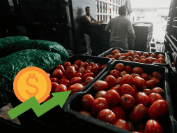 Estos estados se verían más afectados por aranceles a jitomates. EL INFORMADOR / ARCHIVO