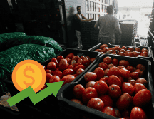 Estos estados se verían más afectados por aranceles a jitomates. EL INFORMADOR / ARCHIVO