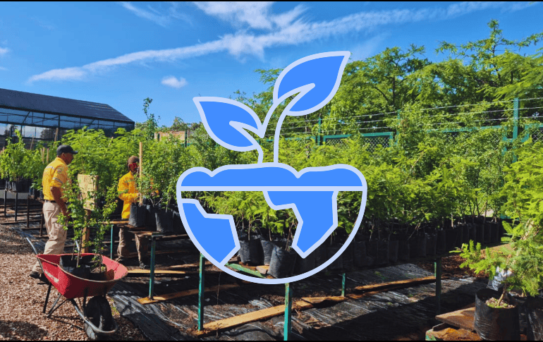 El director de Medio Ambiente de Zapopan, señaló que los huertos contarán con guamúchil, retama, parota y otra gran cantidad de especies. ESPECIAL