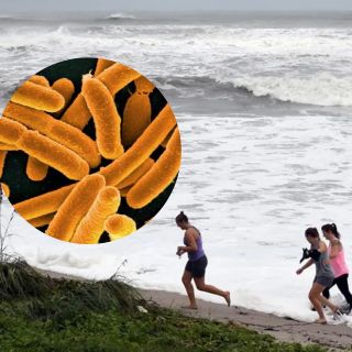 Van cuatro muertos en Florida por una bacteria carnívora presente en el mar