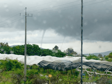 Así lucen las dos culebras de agua que se presentaron el día de hoy en la Ribera de Chapala. ESPECIAL / Protección Civil Jalisco