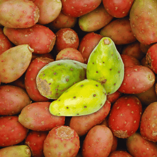 Estos son los beneficios a la salud de la tuna