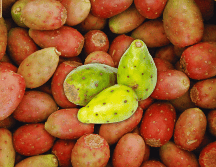 Estudios han demostrado que la ingesta regular de tunas reduce significativamente los niveles plasmáticos de colesterol. NTX / ARCHIVO