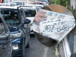 Los propietarios con placas de diseños 