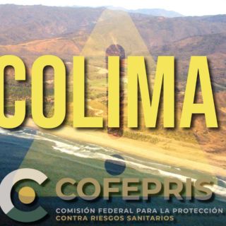 Esta playa de Colima NO es apta para vacacionar, según Cofepris