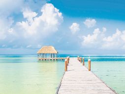 JOMO Travel: la forma más humana de conocer el mundo