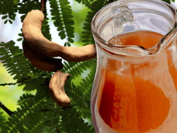 Las personas con problemas de reflujo ácido, gastritis o úlceras también deben moderar o evitar el consumo de tamarindo. ESPECIAL / CANVA