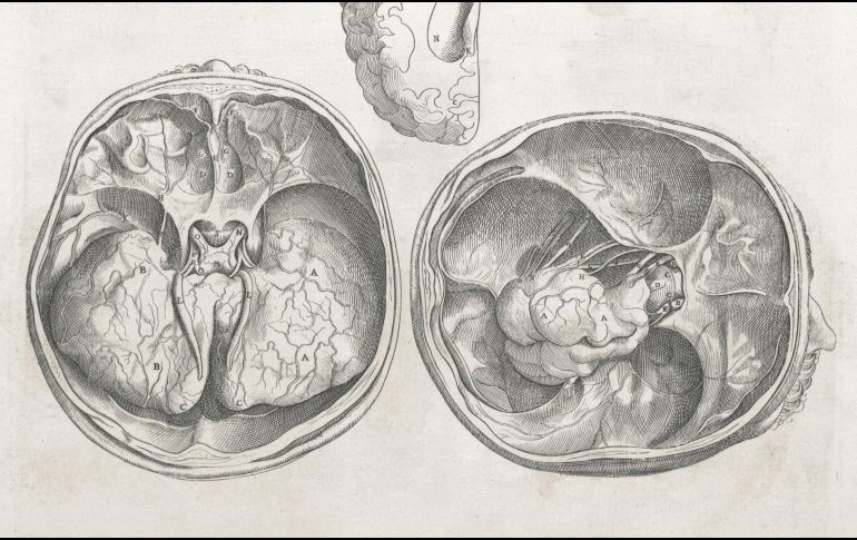 Este estudio abre la puerta a que algún día se puedan reparar las causas genéticas de muchos trastornos neurológicos que durante mucho tiempo se han considerado intratables. UNSPLASH / The New York Public Library