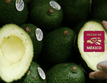 Entre los principales estados productores del 