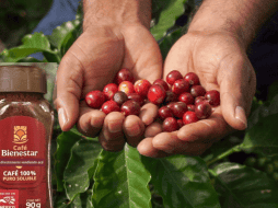 El Café Bienestar es un producto mexicano que une sabor, sustentabilidad y justicia social. GOBIERNO DE MÉXICO