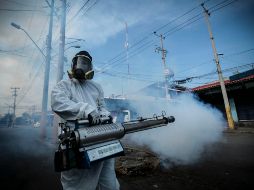 Brigadistas de Salud recorren colonias para eliminar criaderos de mosquitos y fumigar durante el temporal de lluvias. EL INFORMADOR/Archivo