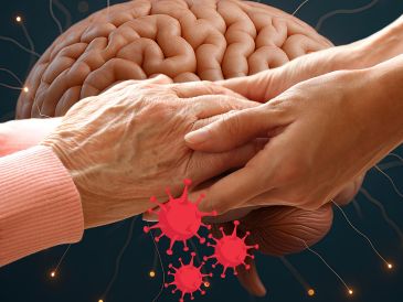 Los autores vieron, para el segundo escáner, que los cerebros de los participantes del grupo "pandemia" habían envejecido, en promedio, 5.5 meses más rápido. ESPECIAL / CANVA